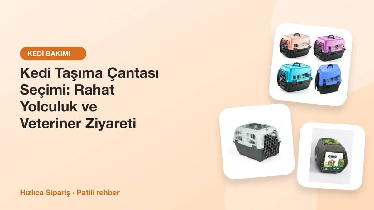 Sert plastik kedi taşıma kafesleri, üstten açılan taşıma çantası ve tekerlekli sırt tipi taşıma çantasından oluşan kolaj