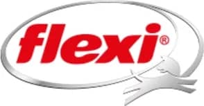 Flexi logosu