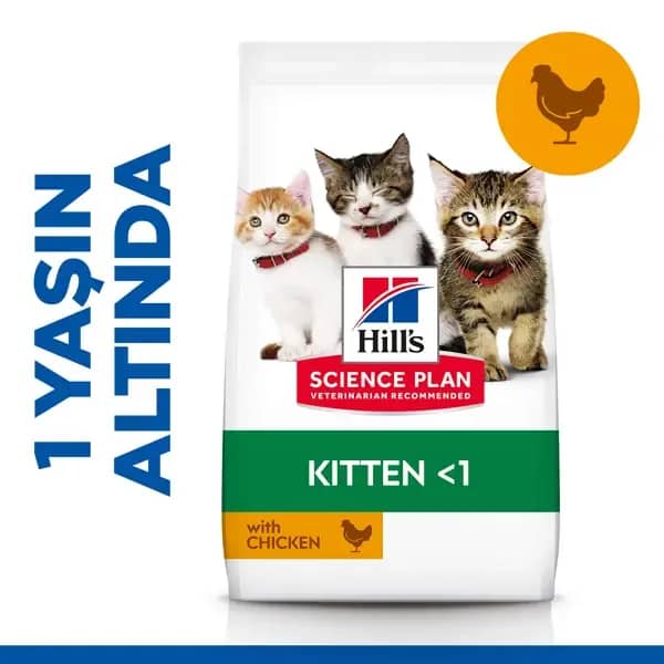 Hill's Kitten Tavuklu Yavru Kedi Maması