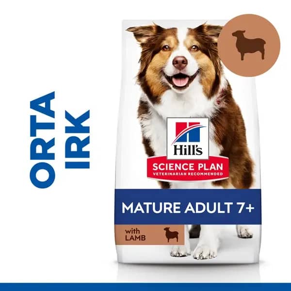 Hill's Mature Senior +7 Medium Orta Irk Kuzu Etli Yaşlı Köpek Maması