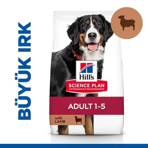 Hill's Büyük Irk Kuzu Etli Yetişkin Köpek Maması
