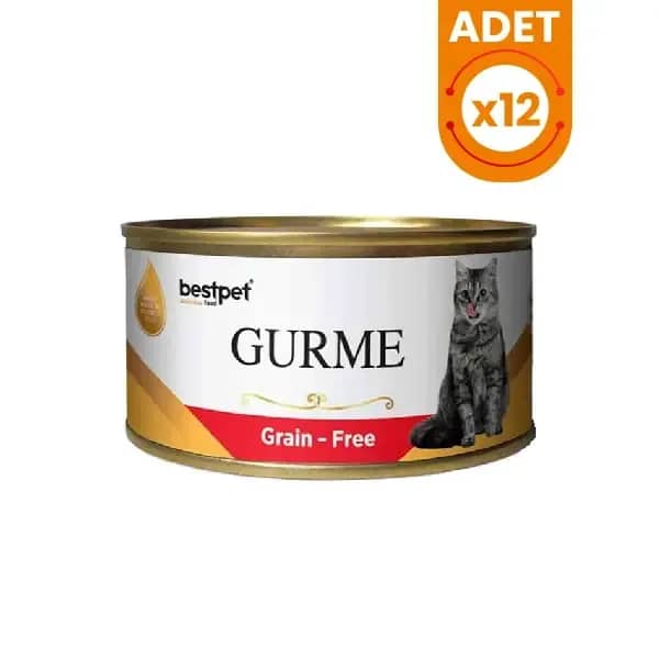 Bestpet Gurme Jöleli Biftekli Yetişkin Konserve Kedi Maması