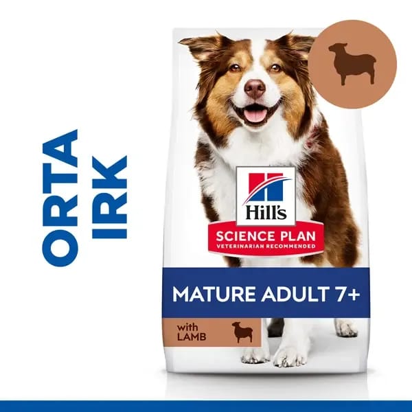 Hill's Mature Senior +7 Medium Orta Irk Kuzu Etli Yaşlı Köpek Maması